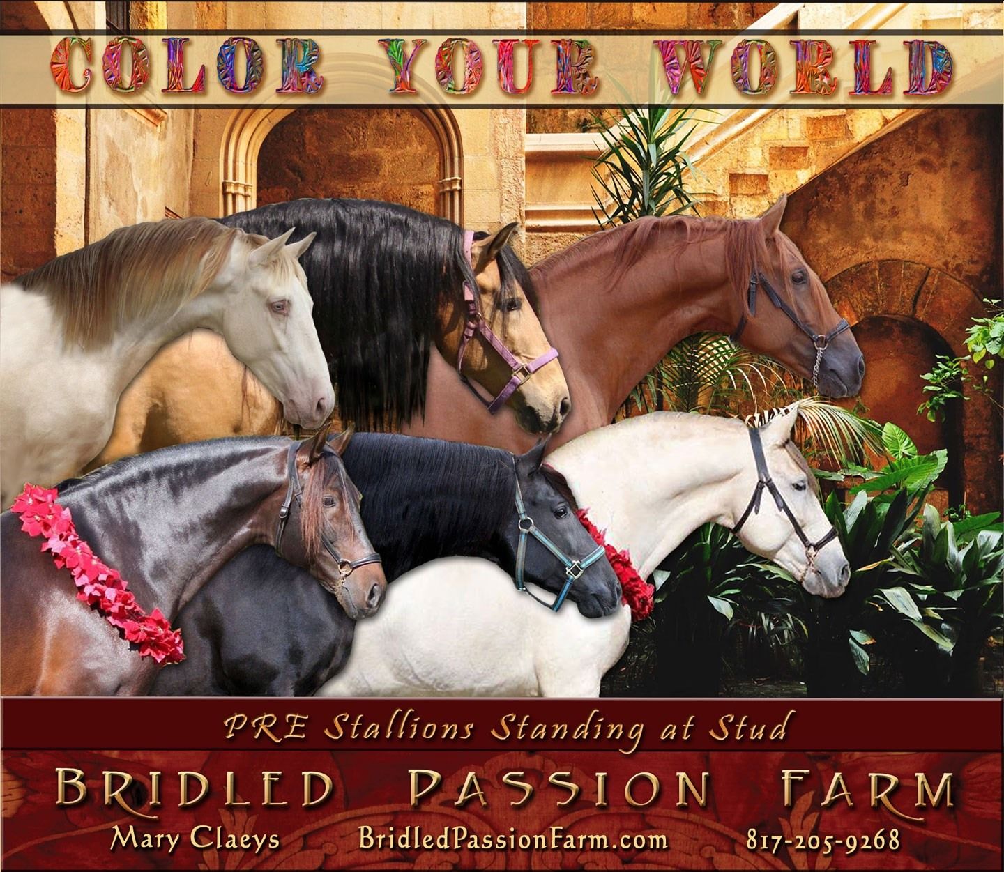 Stallion Ad